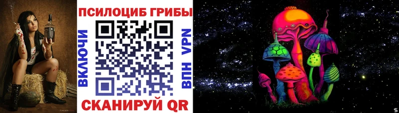где продают   Лыткарино  Псилоцибиновые грибы мицелий 